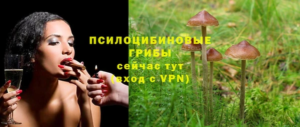 соль ск Осташков
