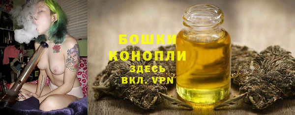 шишки Осинники
