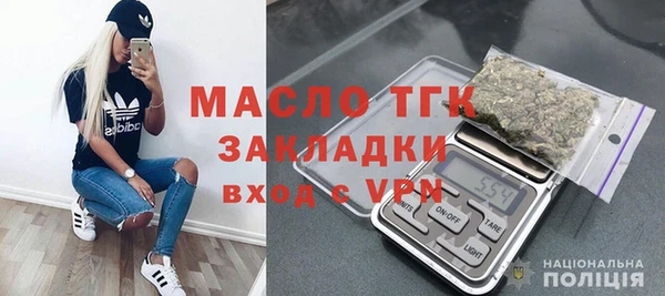 шишки Осинники