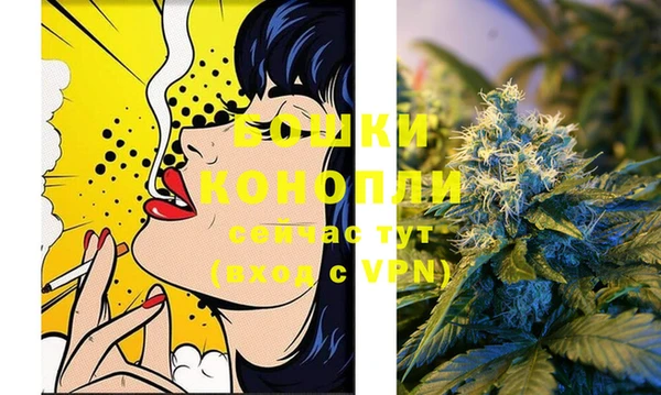 соль ск Осташков