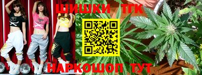 apvp Можга