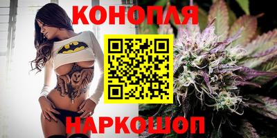 apvp Можга