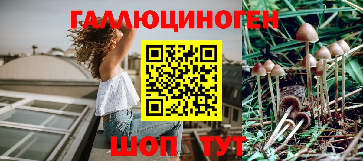 Шарыпово  Галлюциногенные грибы Cubensis  где купить наркоту  Вход с VPN 
